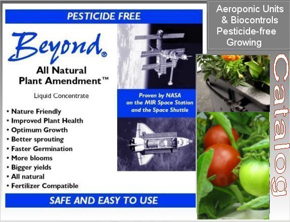 click for BEYOND  info