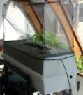 Aeroponic chambers for fast crop production in  any type of greenhouse
