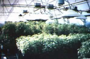Agro-Facility in operation