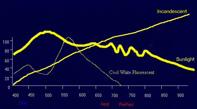 effect of colour of light on transpiration research papers effect of colour of light on transpiration research papers