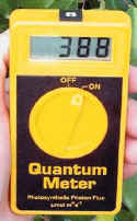 Basic Quantum Meter