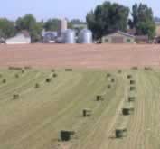 ODC for Ag production including hay, corn, beans, onion and potatoes
